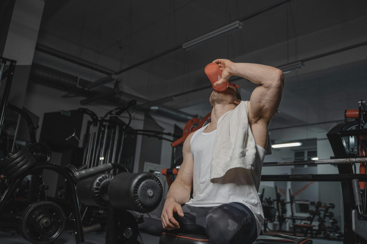 shaker protéine musculation
